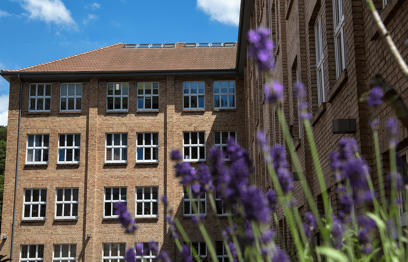 Ein Bild der Carlebachmühle von außen