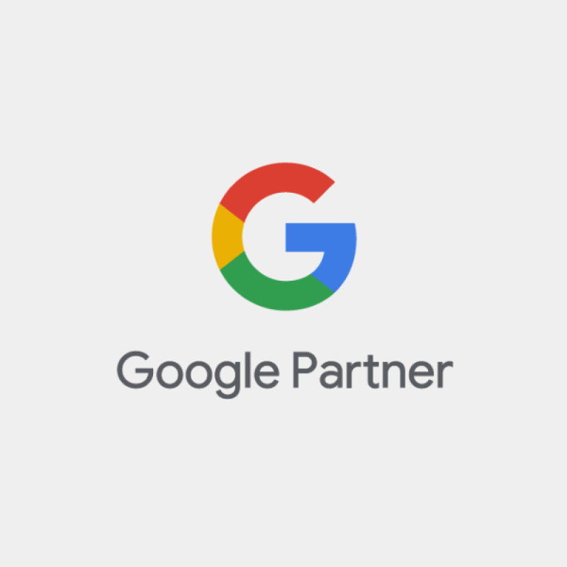 Google Partner Siegel