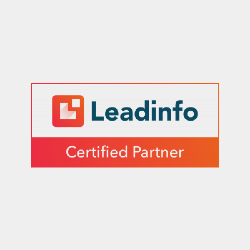 Leadinfo Logo Batch