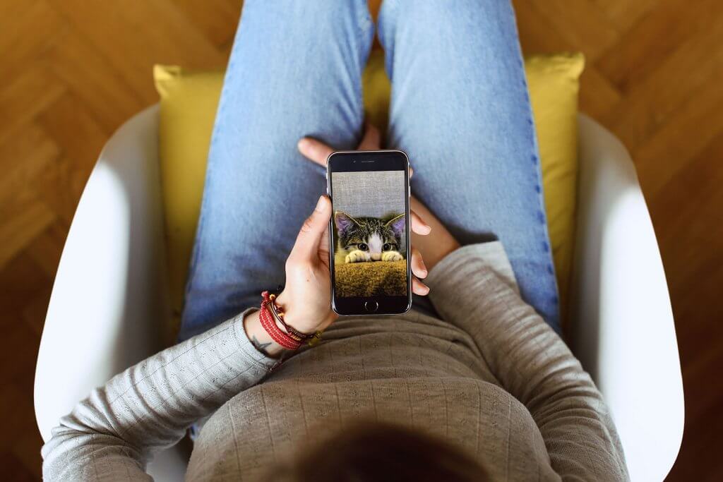 Aufnahme einer Frau die ein Smartphone in der Hand halt und sich ein Katzenbild ansieht