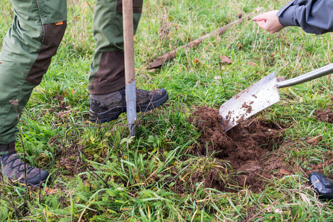 Foto einer Wiese wo jemand gerade den ersten Spatenstich setzt um einen Baum einzupflanzen