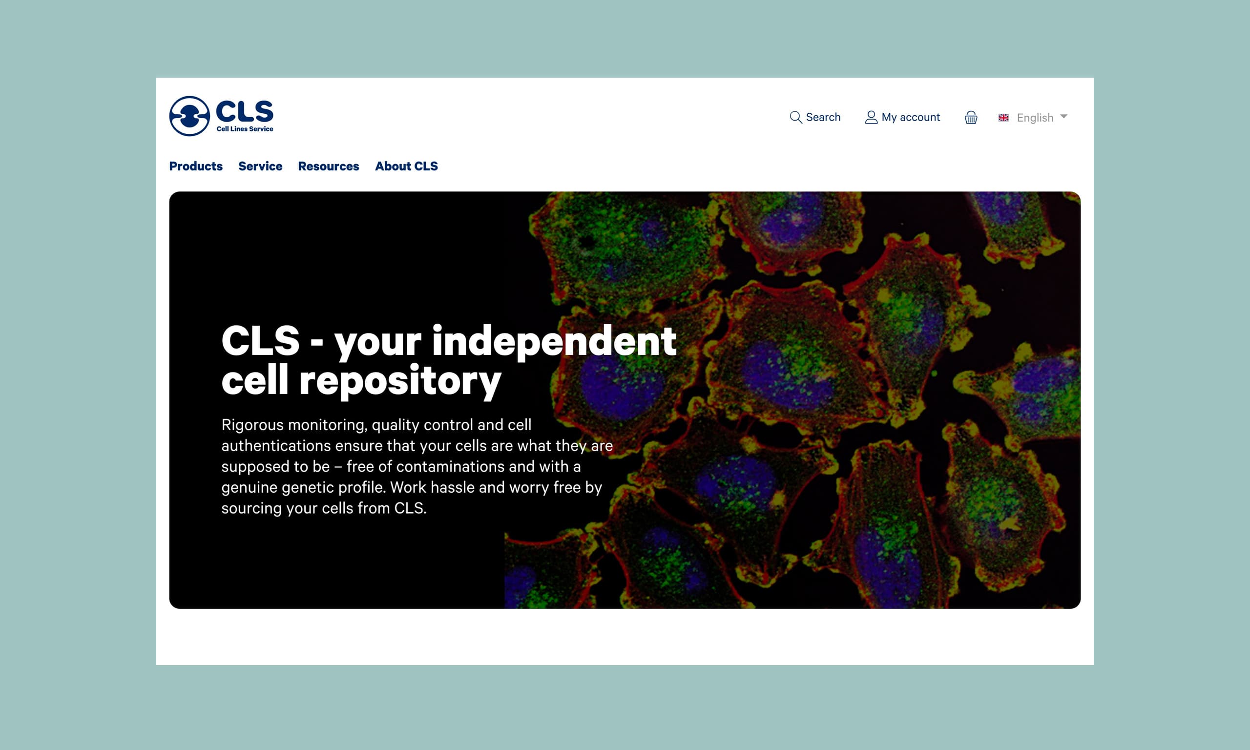 CLS Startseite entwickelt von Reizwerk