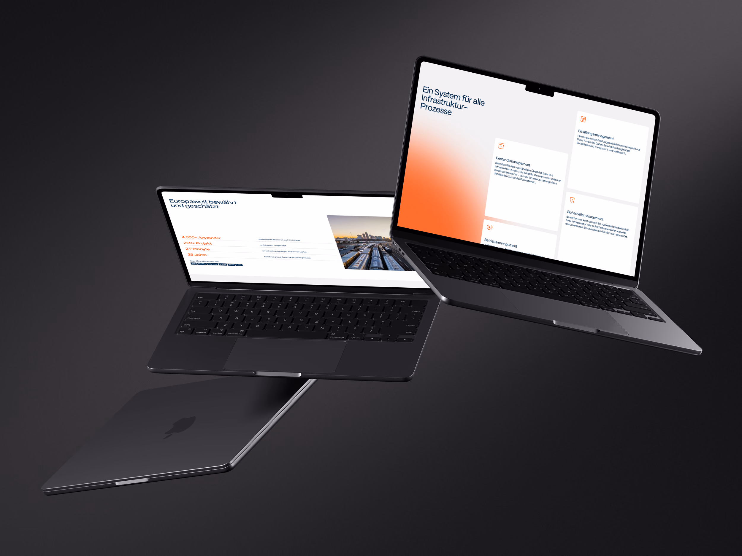 Bildschirm mit Website-Migration: alte und neue Version im Vergleich