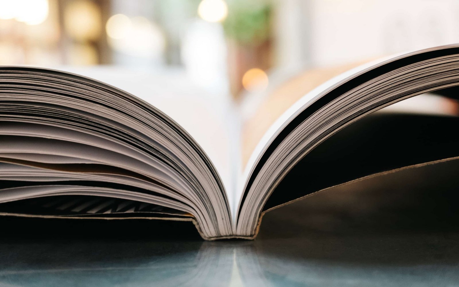 Steigerung der Verkäufe des Fachmagazinportals meinfachwissen.de