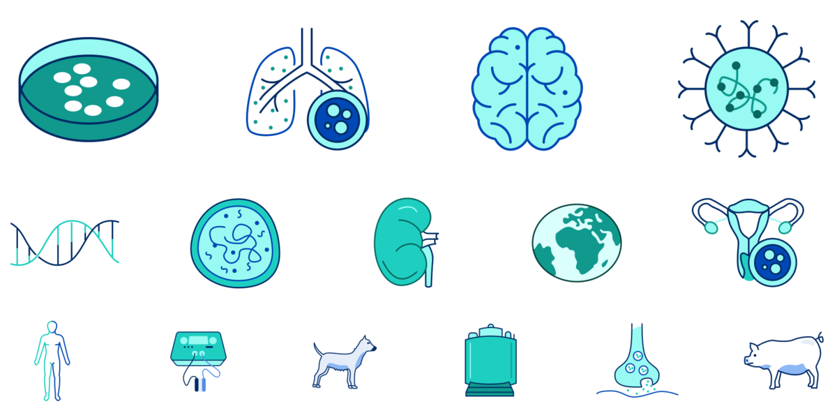 Illustration CLS Icons