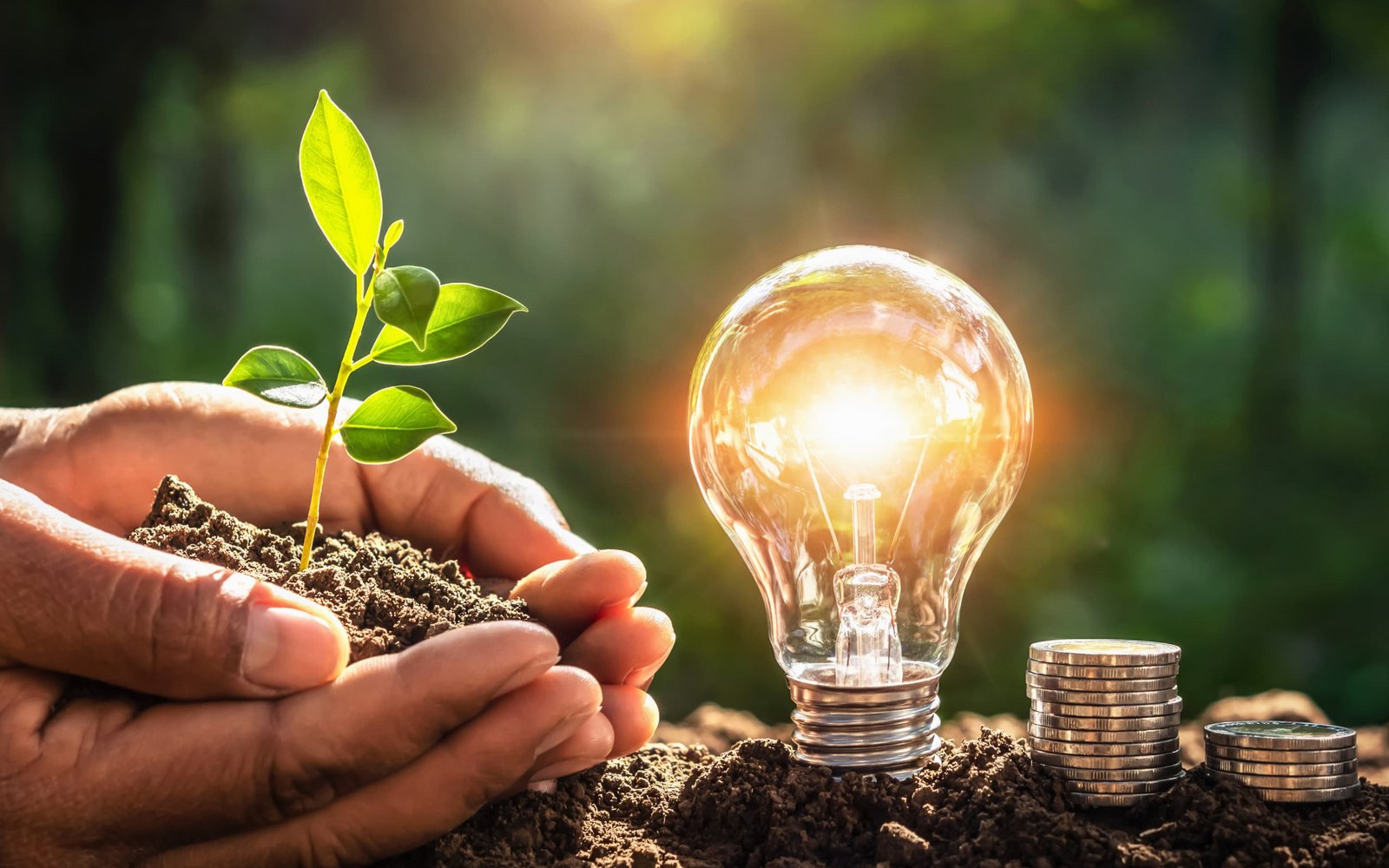 Neuer digitaler Markenauftritt für einen führenden Energielieferanten.